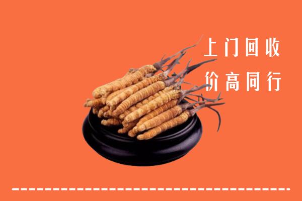 高价求购：阿拉善回收散虫草