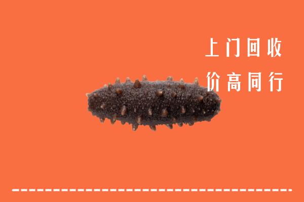 高价求购：阿拉善回收海参