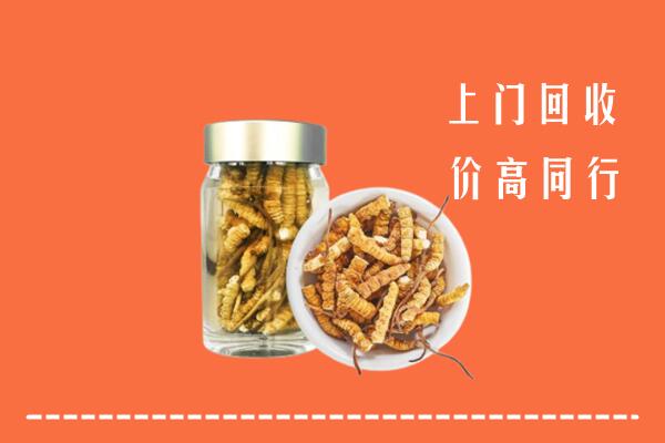 阿拉善回收冬虫夏草